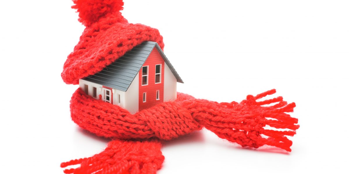House ready for winter in hat and scarf.