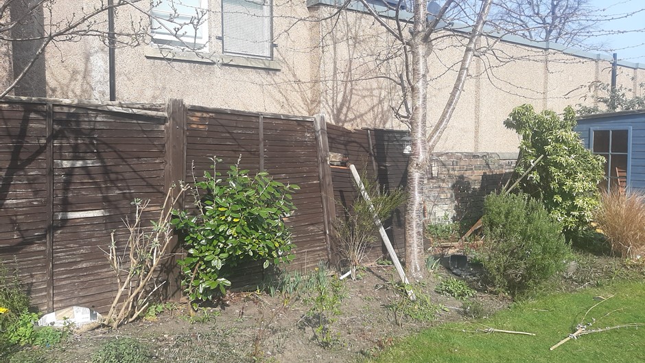 Fencing Work